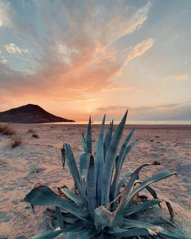 Magnifica Casa Con Encanto En Agua Amarga Agua Amarga  Extérieur photo